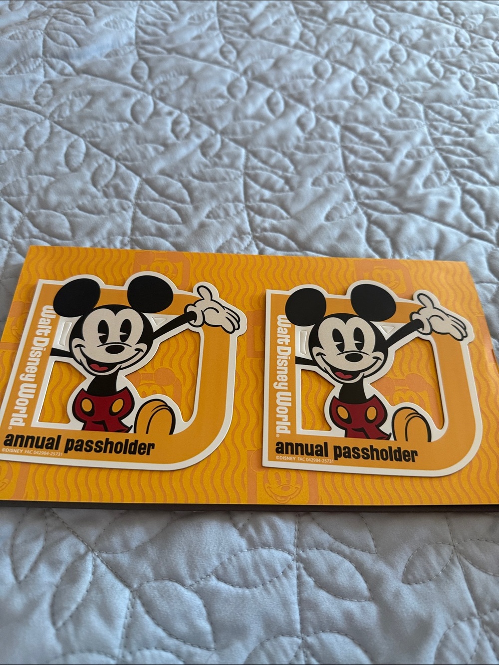 Disney annual pass holder magnets